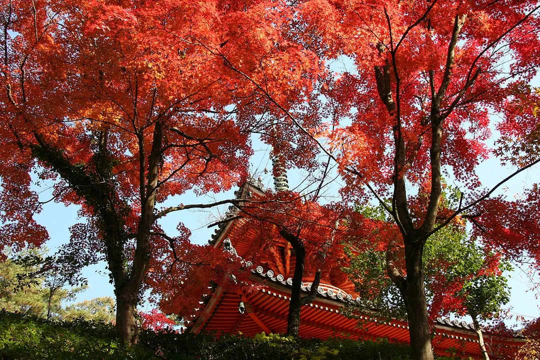三瀧寺