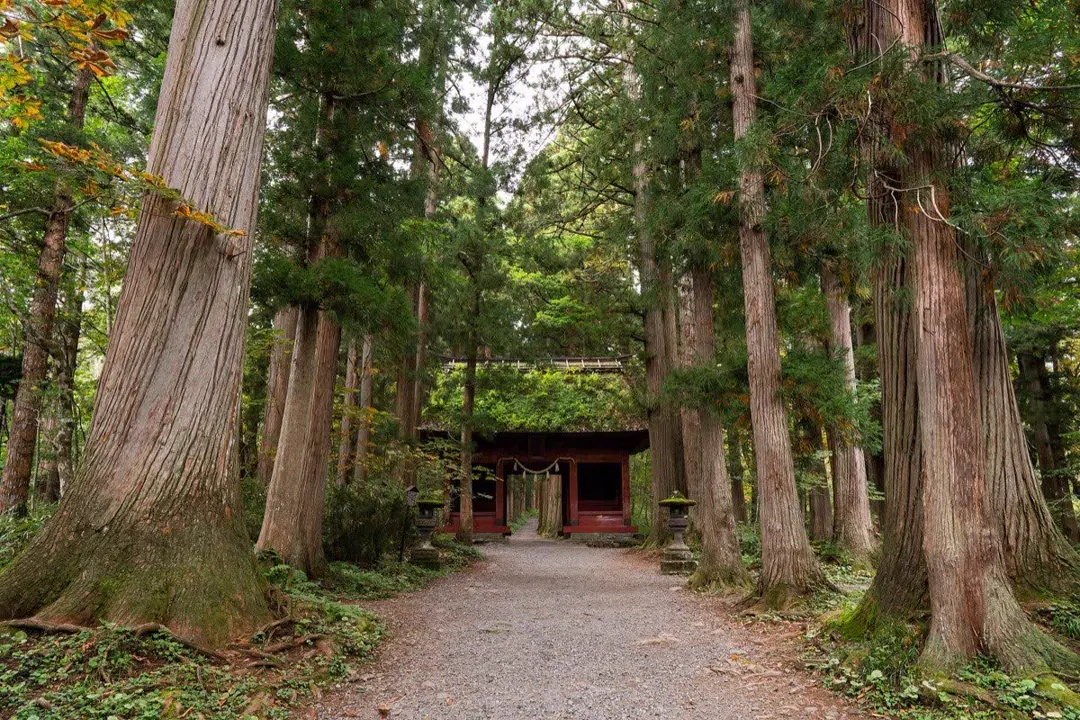 戸隠神社